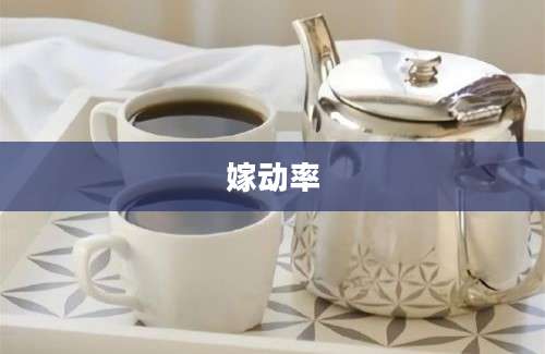 嫁动率