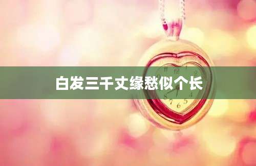 白发三千丈缘愁似个长