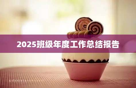 2025班级年度工作总结报告