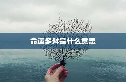 命运多舛是什么意思
