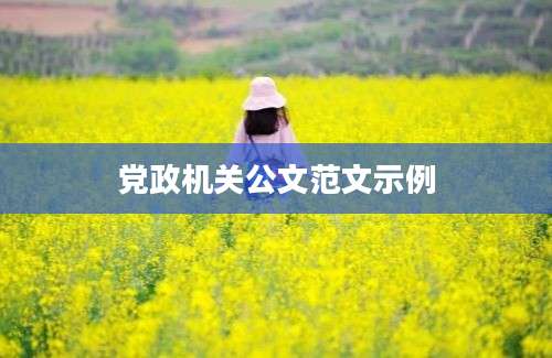 党政机关公文范文示例