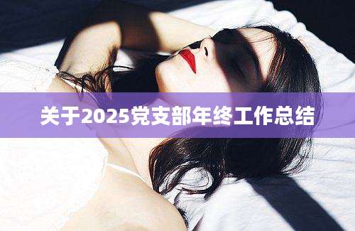 关于2025党支部年终工作总结