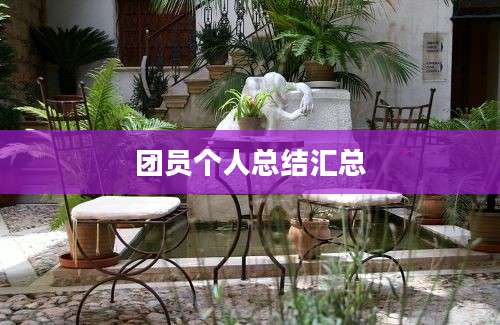 团员个人总结汇总