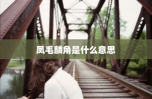 凤毛麟角是什么意思