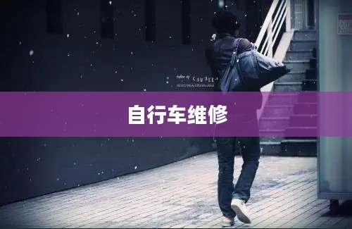 自行车维修