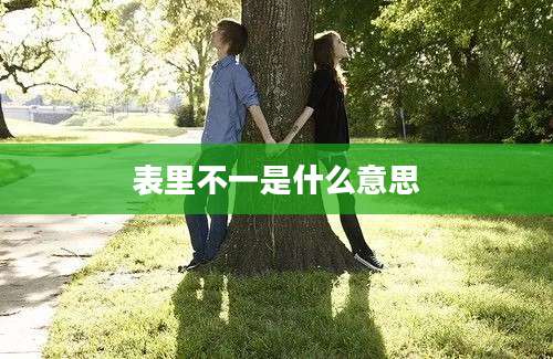表里不一是什么意思