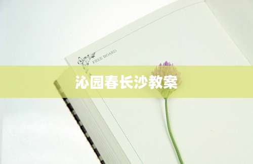 沁园春长沙教案