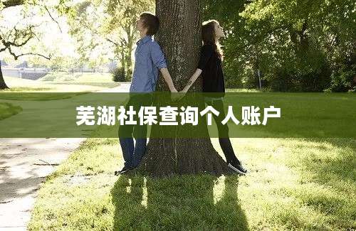芜湖社保查询个人账户