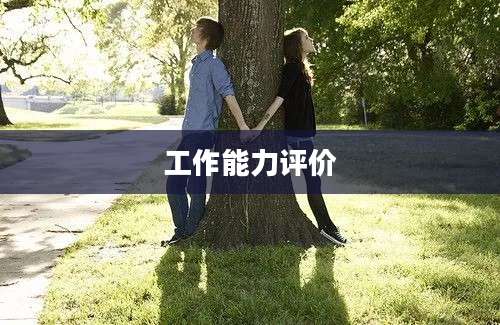 工作能力评价