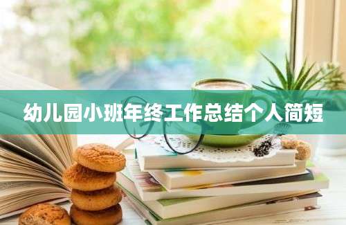 幼儿园小班年终工作总结个人简短