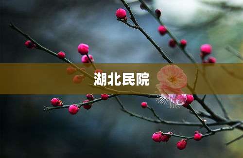 湖北民院