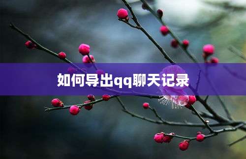 如何导出qq聊天记录