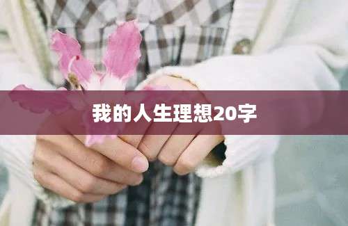 我的人生理想20字