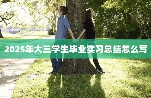 2025年大三学生毕业实习总结怎么写