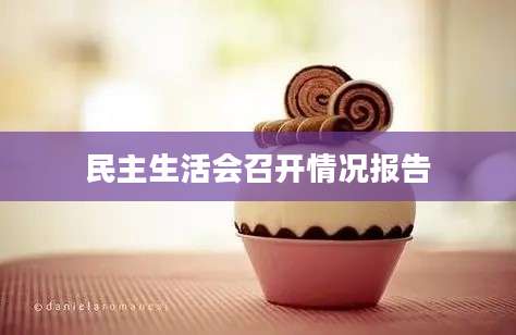 民主生活会召开情况报告