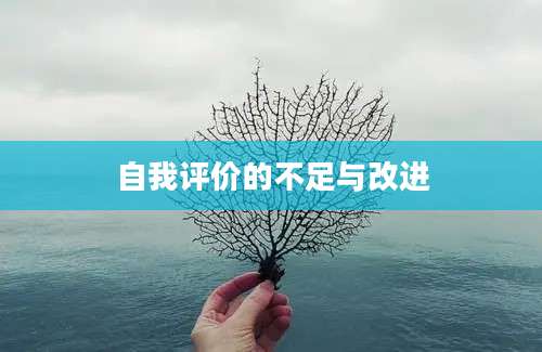 自我评价的不足与改进