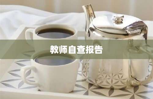 教师自查报告