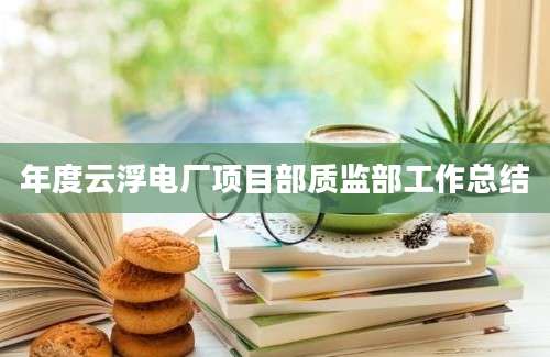 年度云浮电厂项目部质监部工作总结