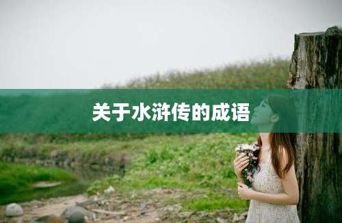 关于水浒传的成语