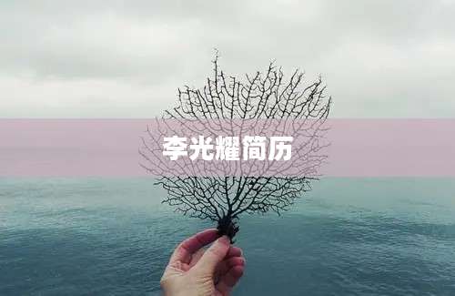 李光耀简历
