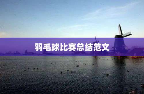 羽毛球比赛总结范文