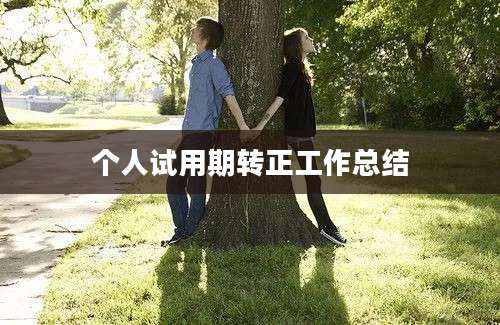 个人试用期转正工作总结