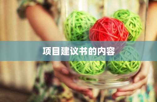 项目建议书的内容