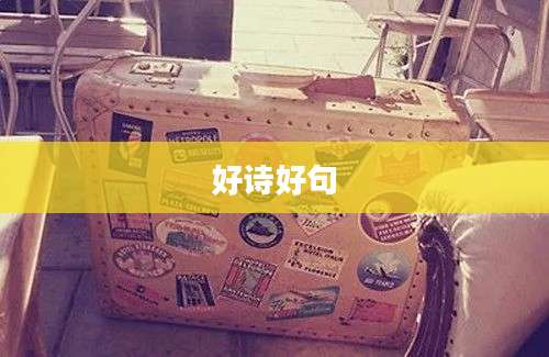 好诗好句