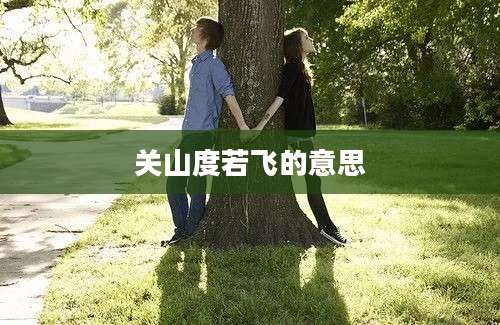 关山度若飞的意思