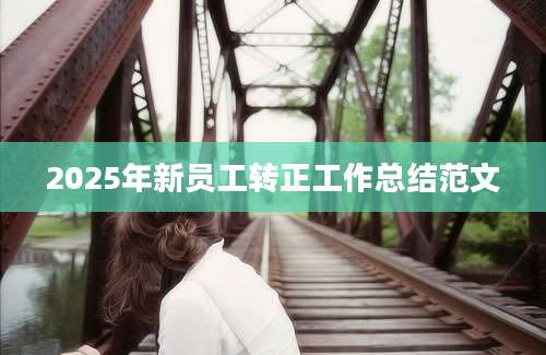 2025年新员工转正工作总结范文