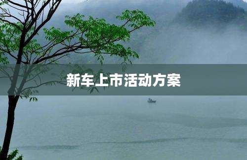 新车上市活动方案