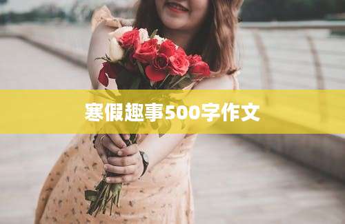 寒假趣事500字作文