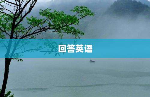 回答英语