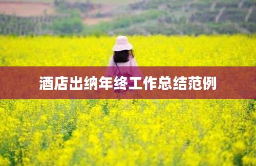 酒店出纳年终工作总结范例