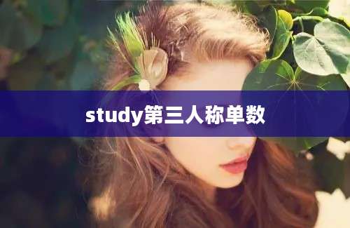 study第三人称单数