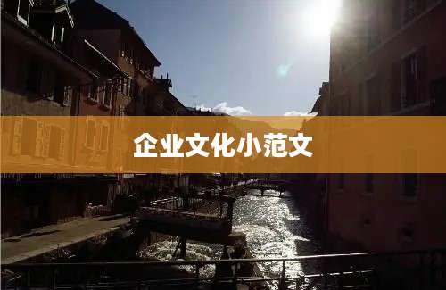 企业文化小范文