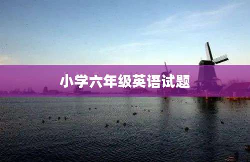 小学六年级英语试题