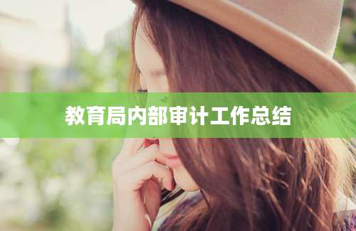 教育局内部审计工作总结