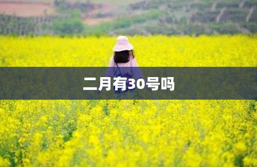 二月有30号吗