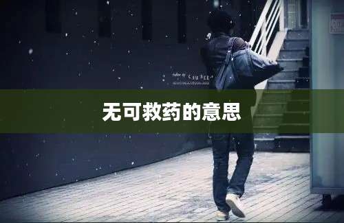 无可救药的意思