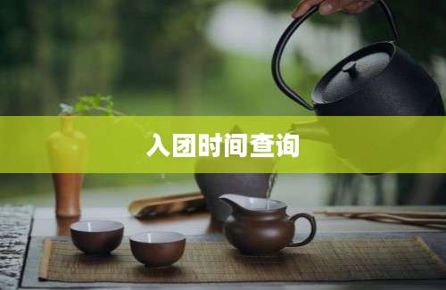 入团时间查询