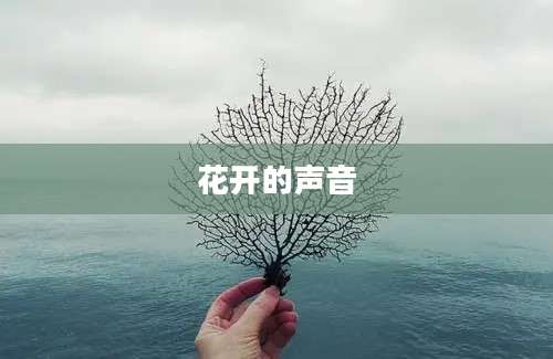 花开的声音