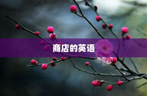 商店的英语