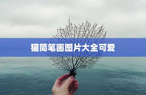 猫简笔画图片大全可爱