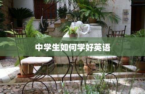 中学生如何学好英语