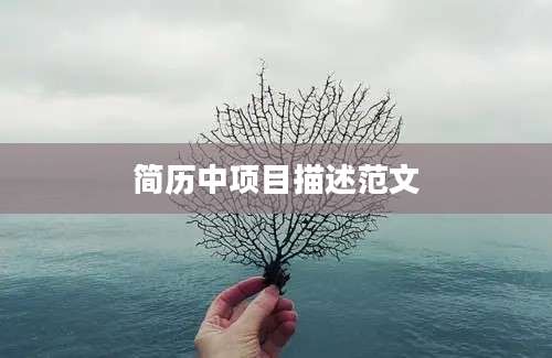 简历中项目描述范文