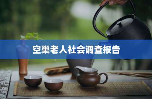 空巢老人社会调查报告