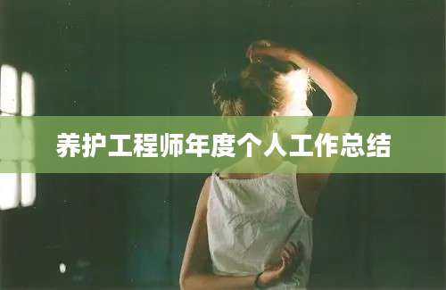 养护工程师年度个人工作总结