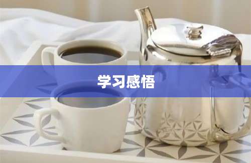 学习感悟
