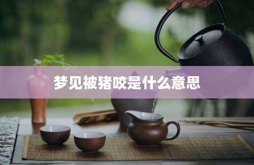 梦见被猪咬是什么意思